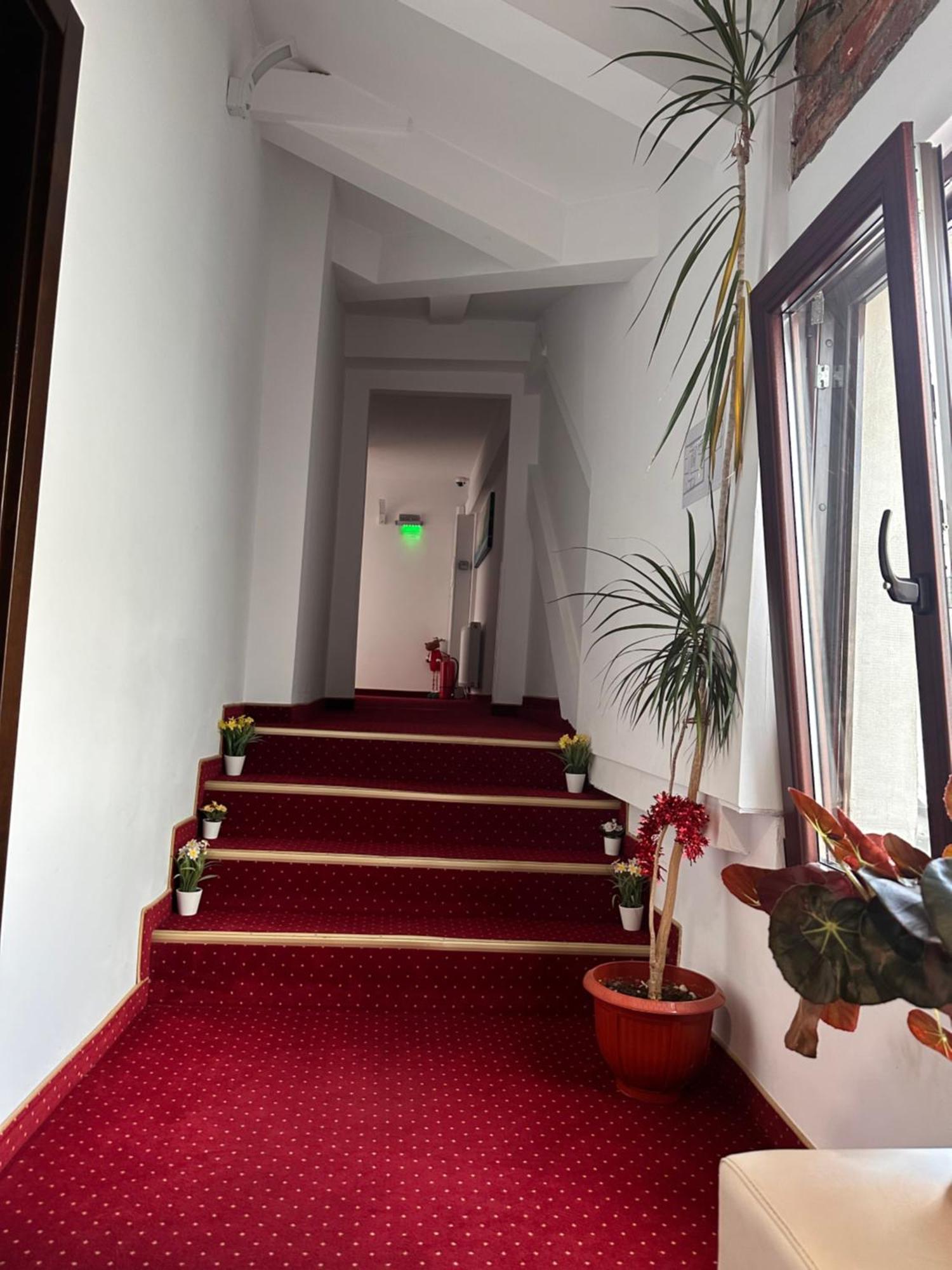 Pensiunea Sada Făgăraş Buitenkant foto